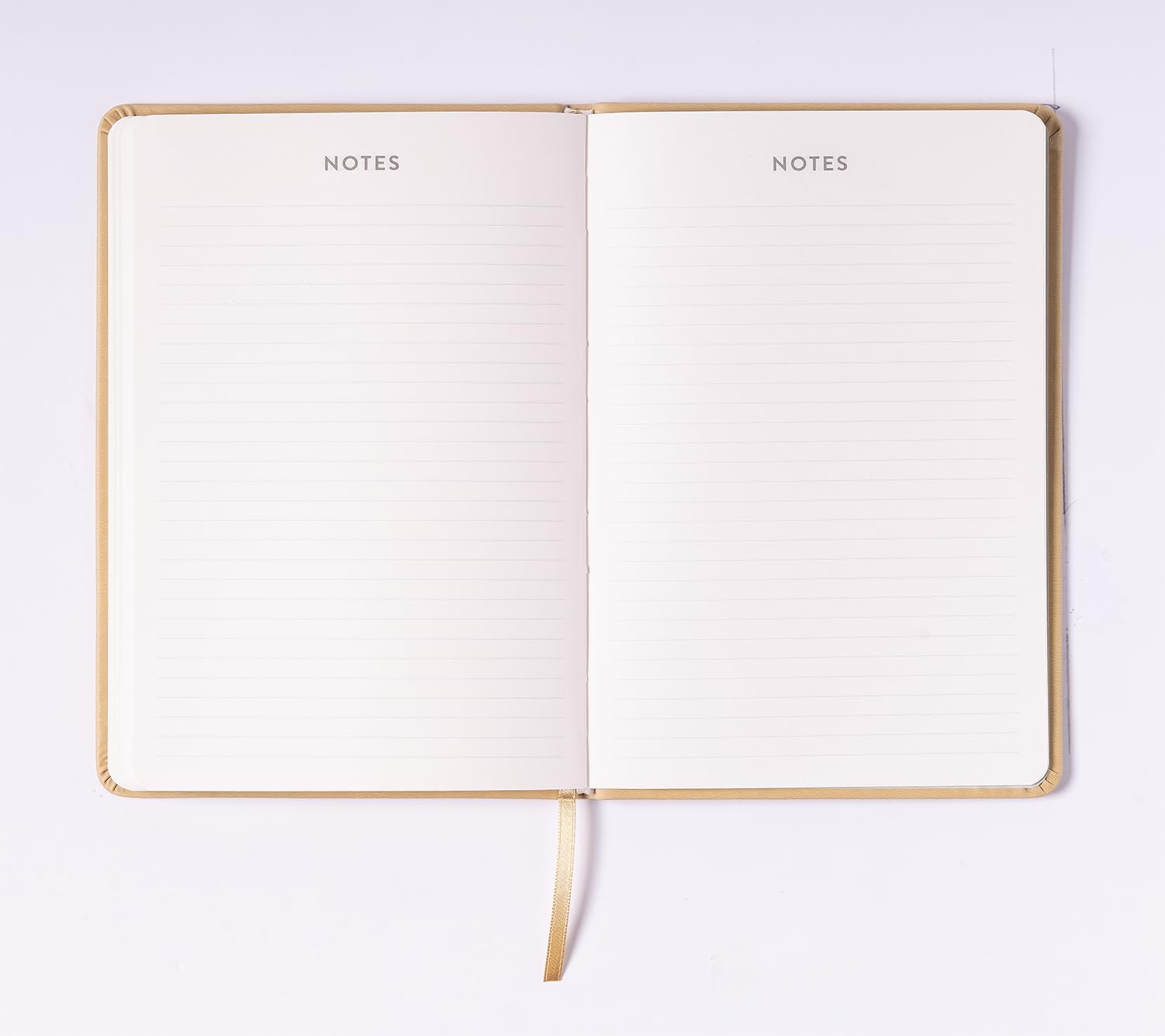 2024 Cream Eucalyptus 6x8 Bound Planner