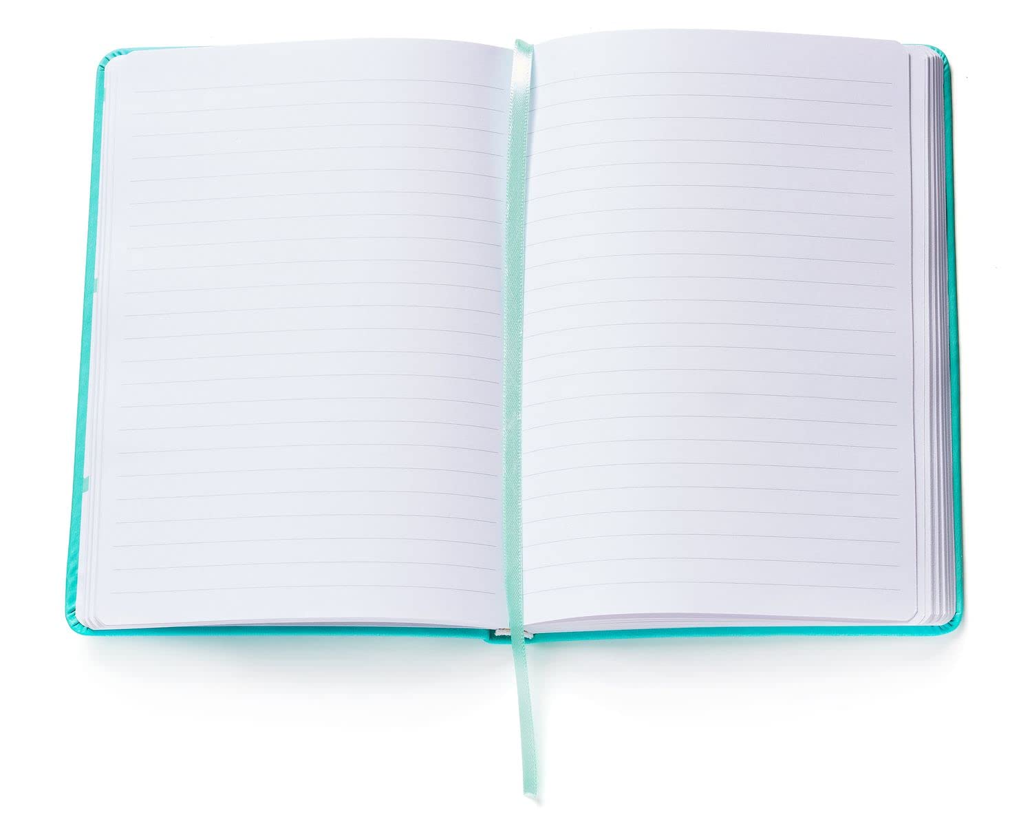 You Got This Motivational Journal