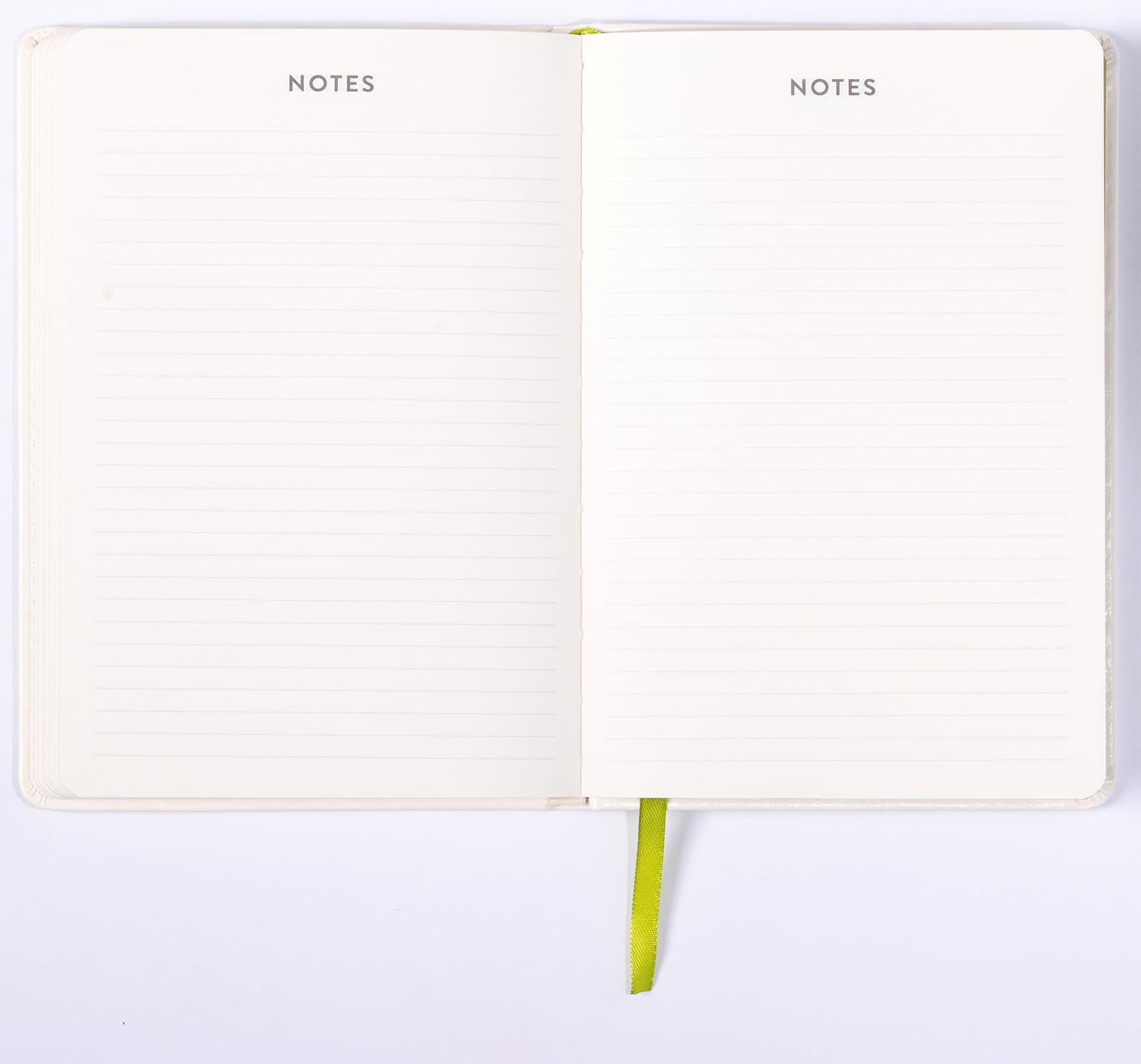 eccolo 2024 2025 planner