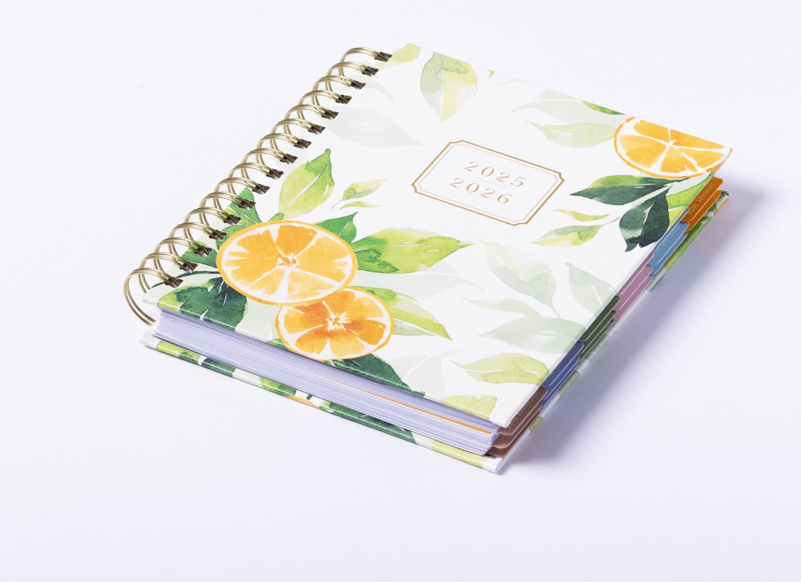 2026 eccolo 2025 planner