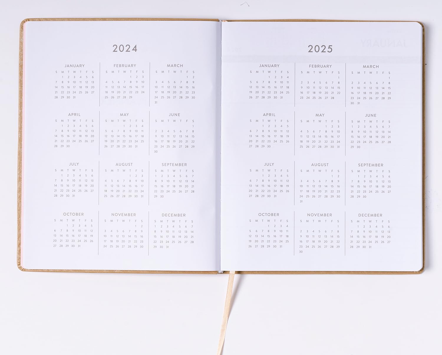 2024 Champagne Large Bound Planner