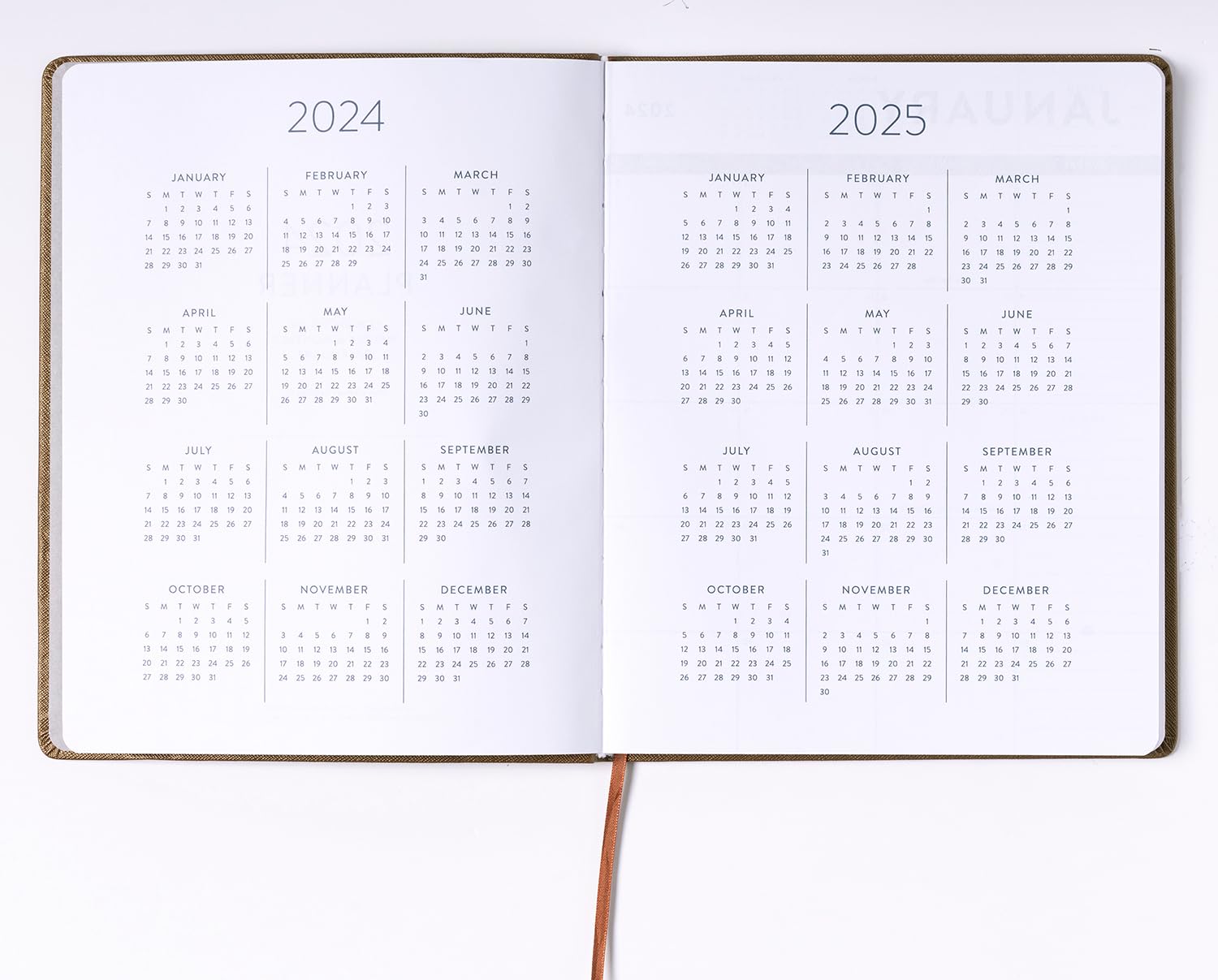 2024 Brown Shagreen Large Bound Planner