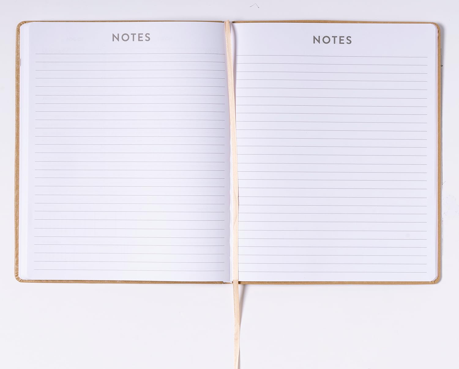 2024 Champagne Large Bound Planner