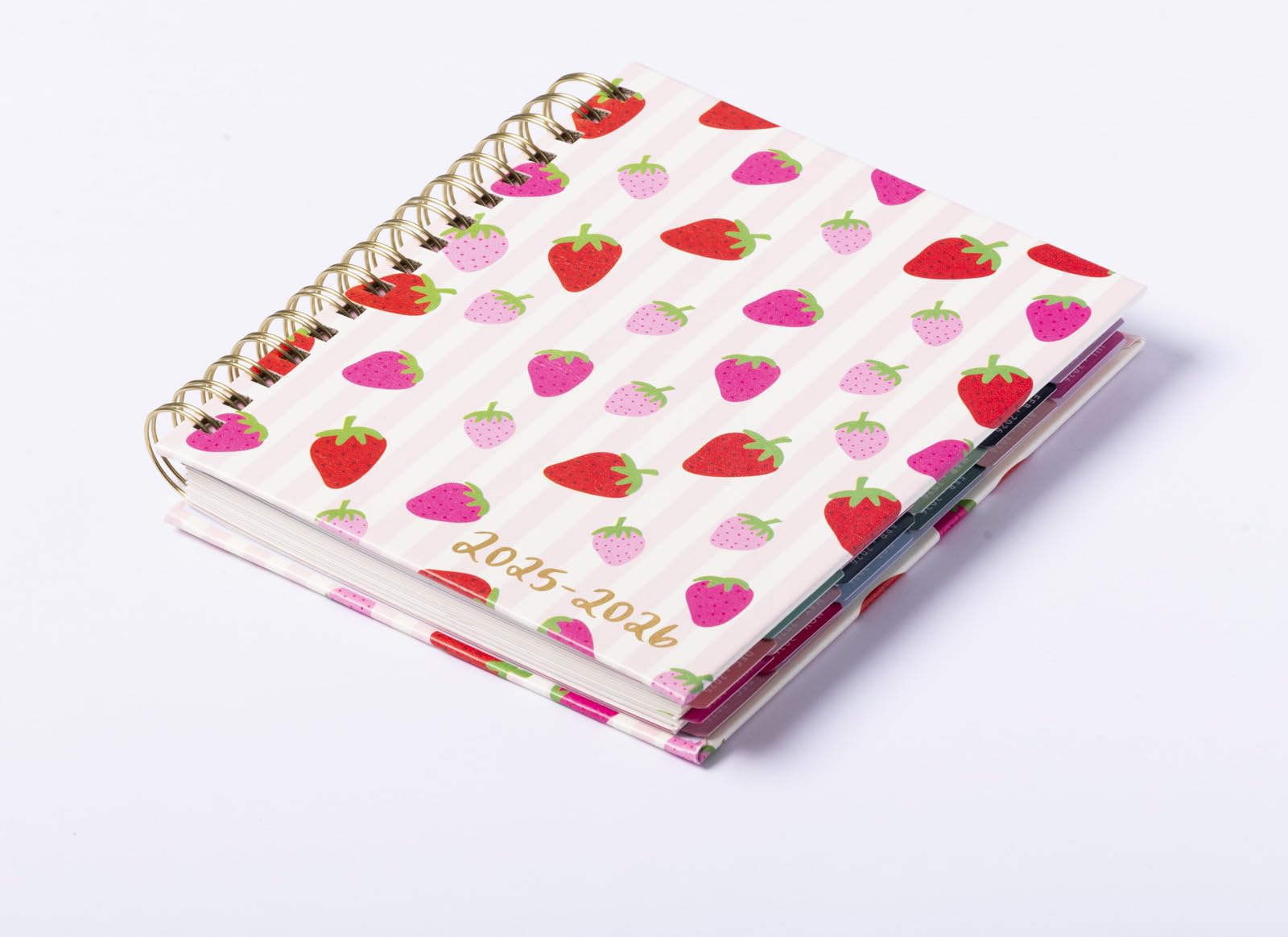 2026 eccolo 2025 planner