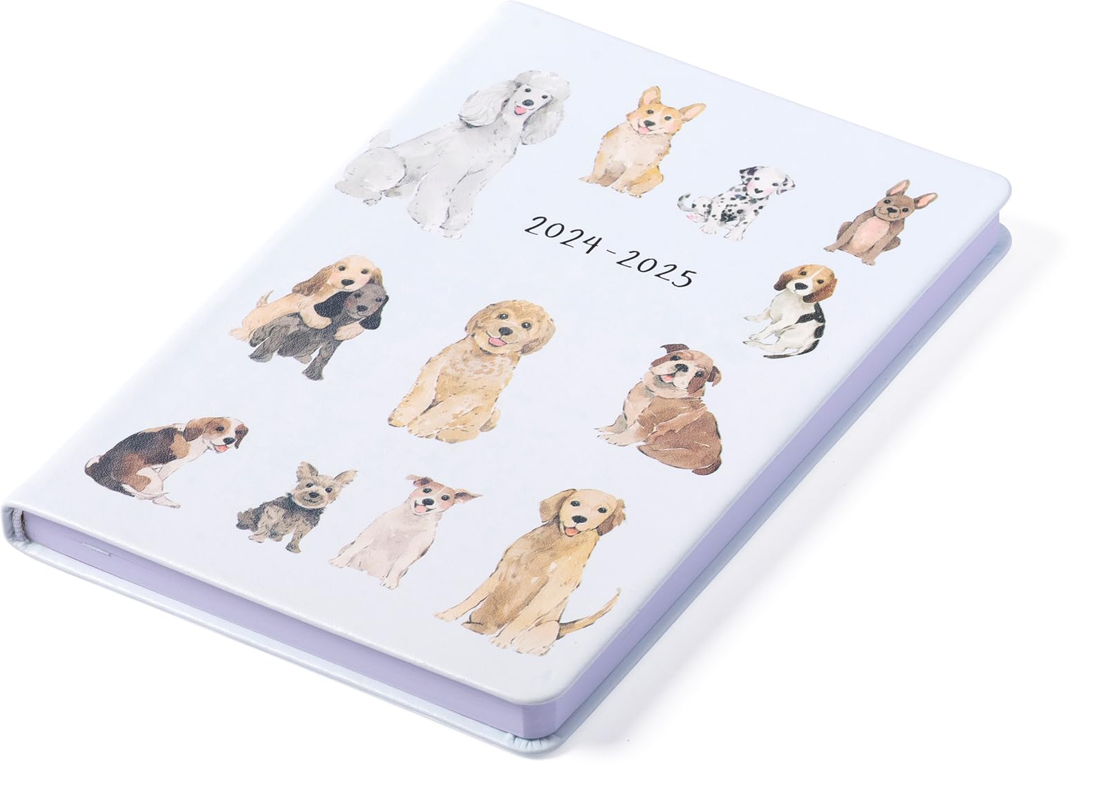 eccolo 2024 2025 planner