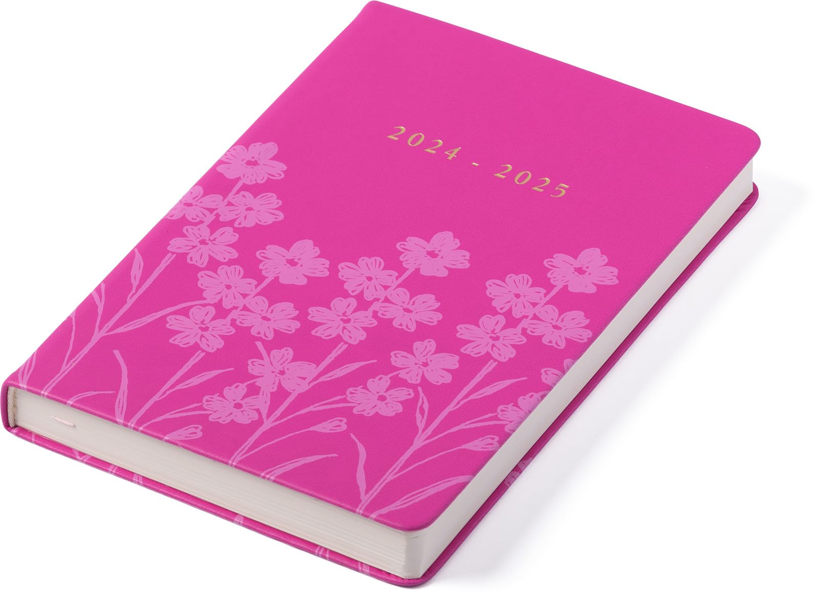 eccolo 2024 2025 planner