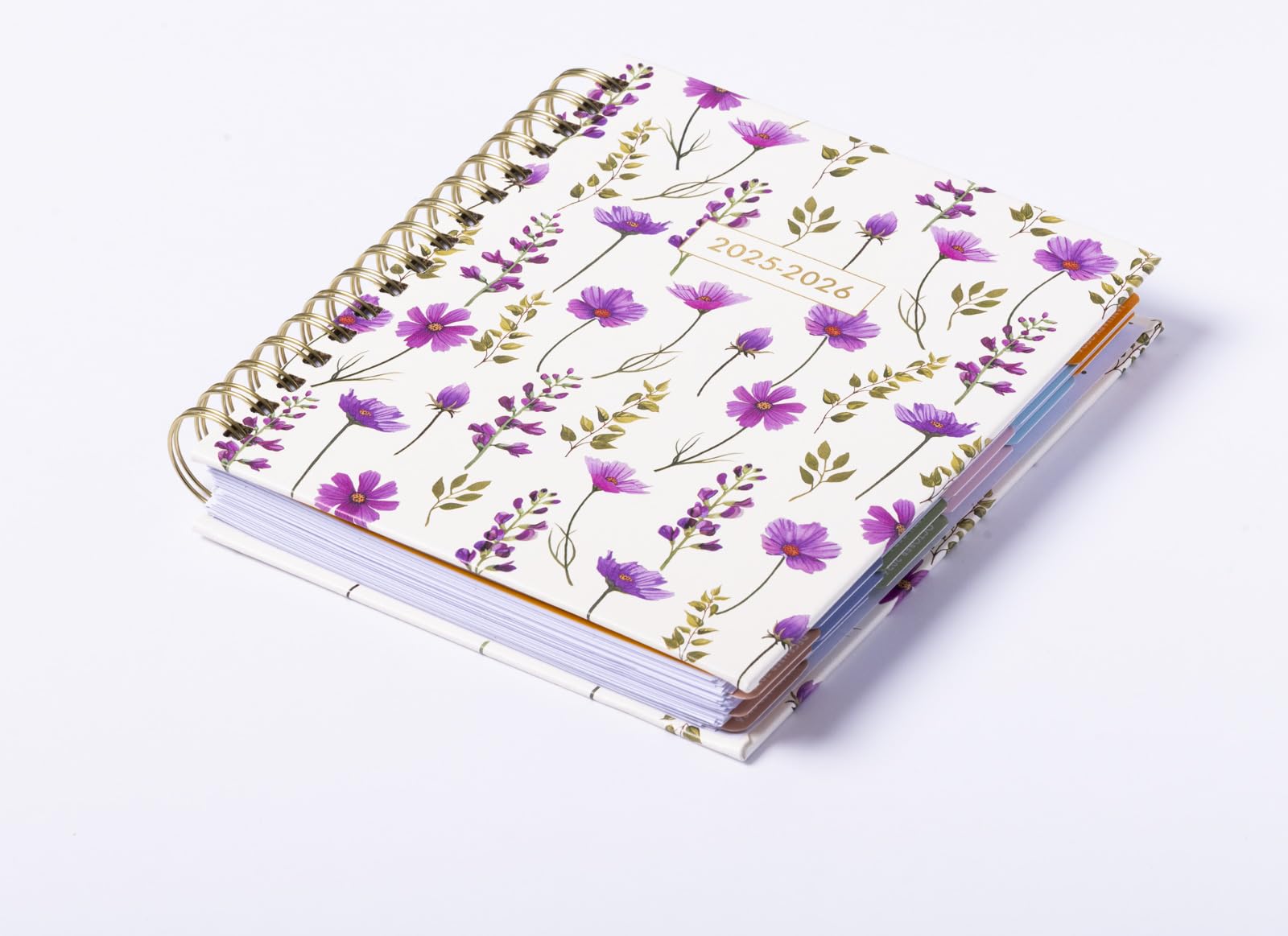 2026 eccolo 2025 planner