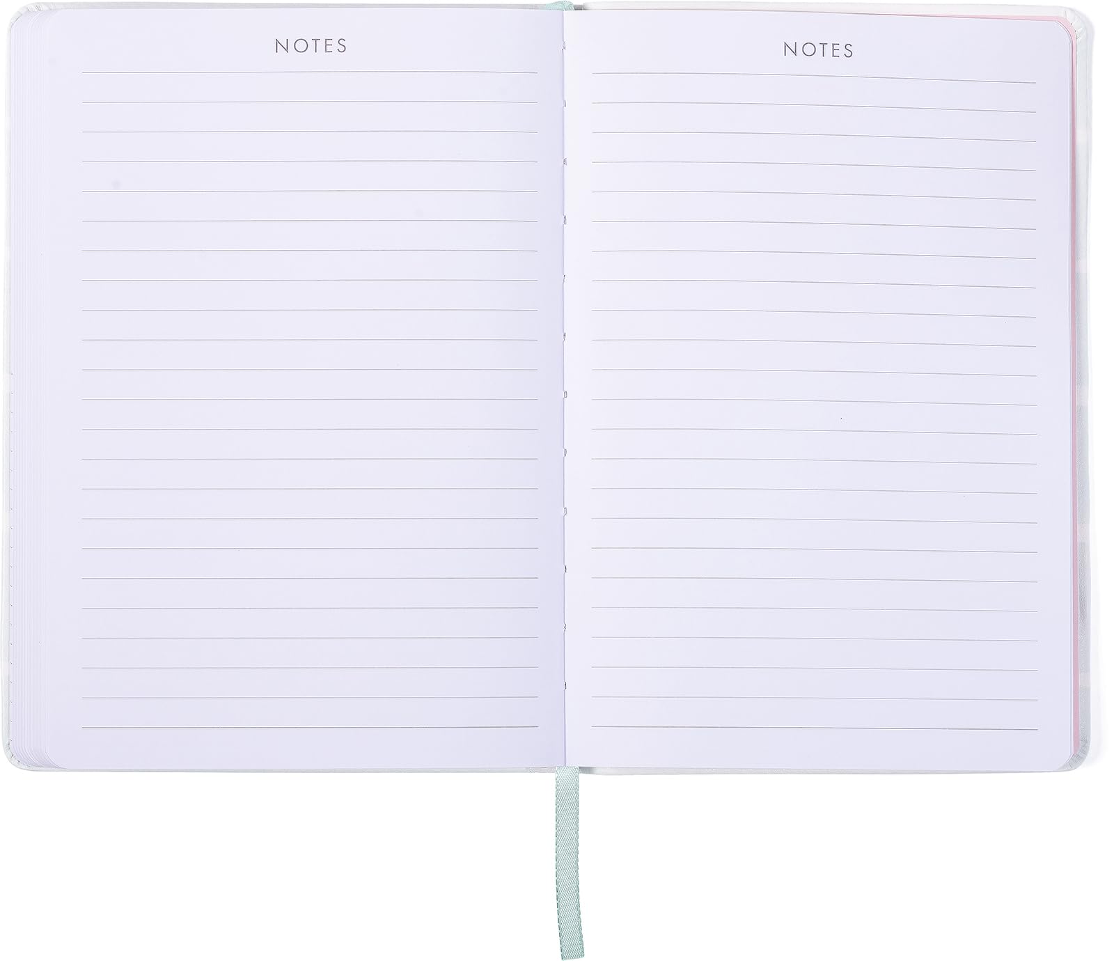 eccolo 2024 2025 planner