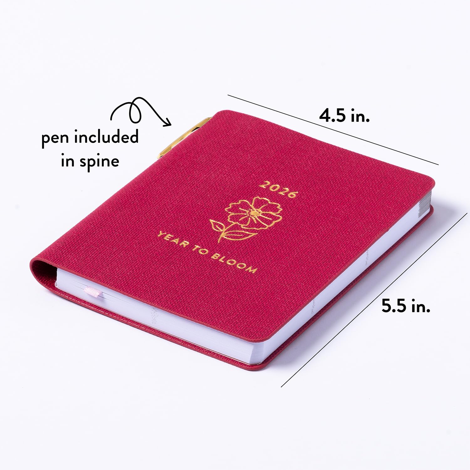 2026 eccolo 2025 planner
