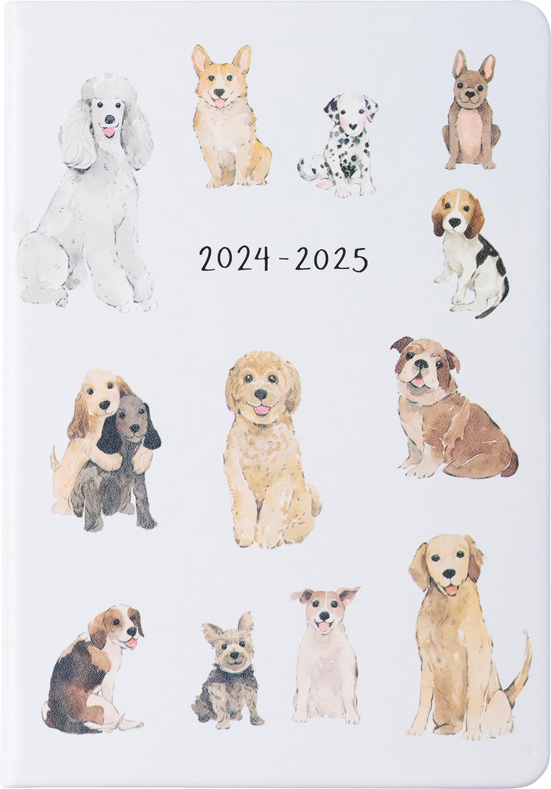 eccolo 2024 2025 planner