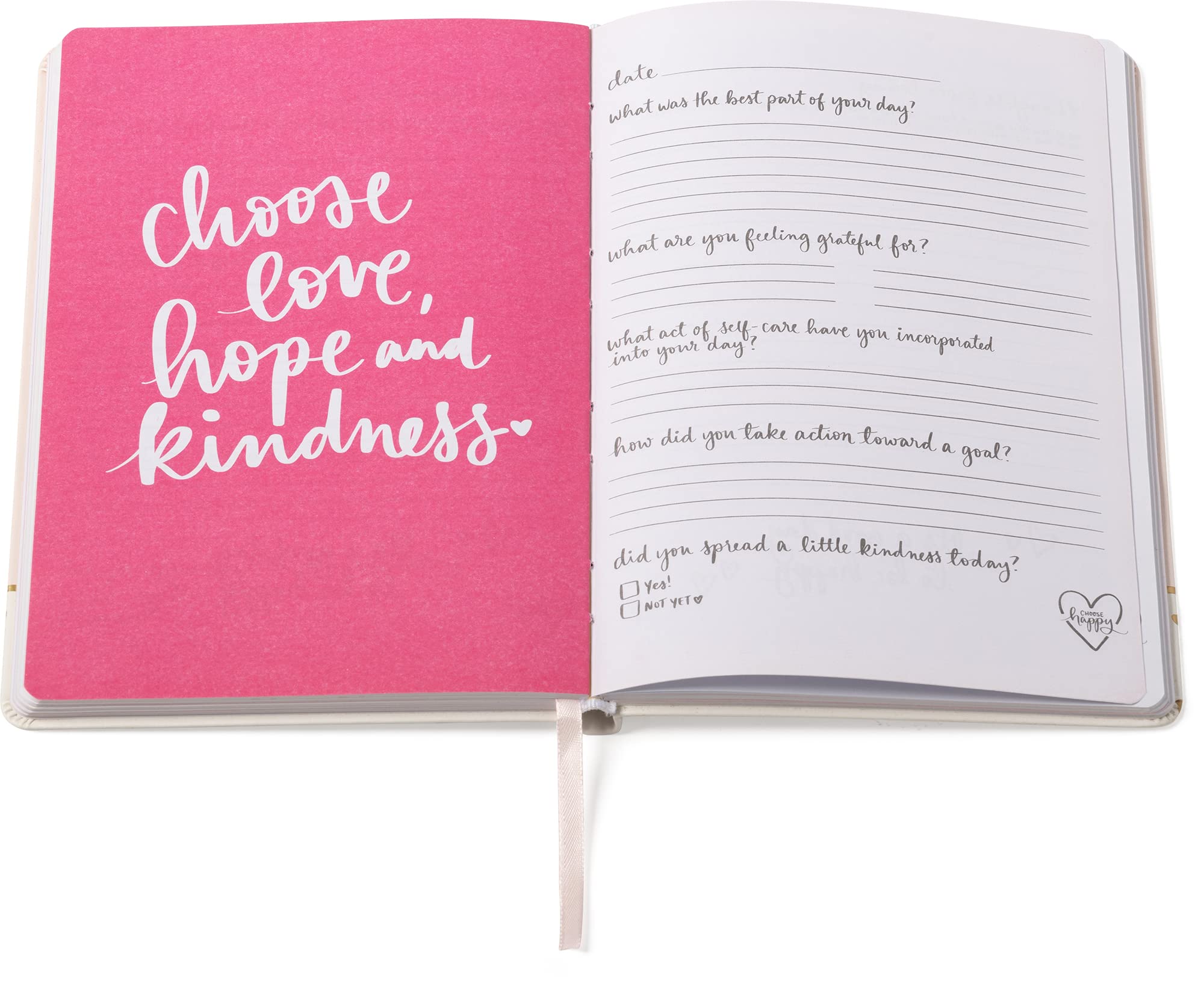 256 Pages Dayna Lee Gratitude Journal