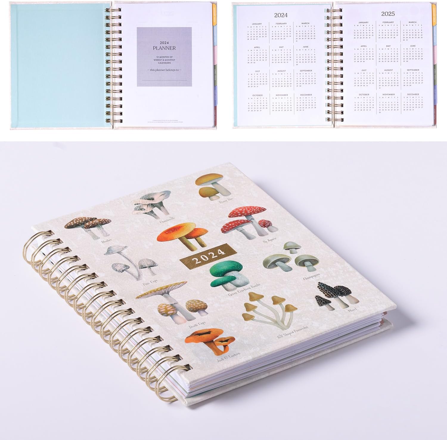 2024 Vintage Mushrooms Spiral Fun Planner