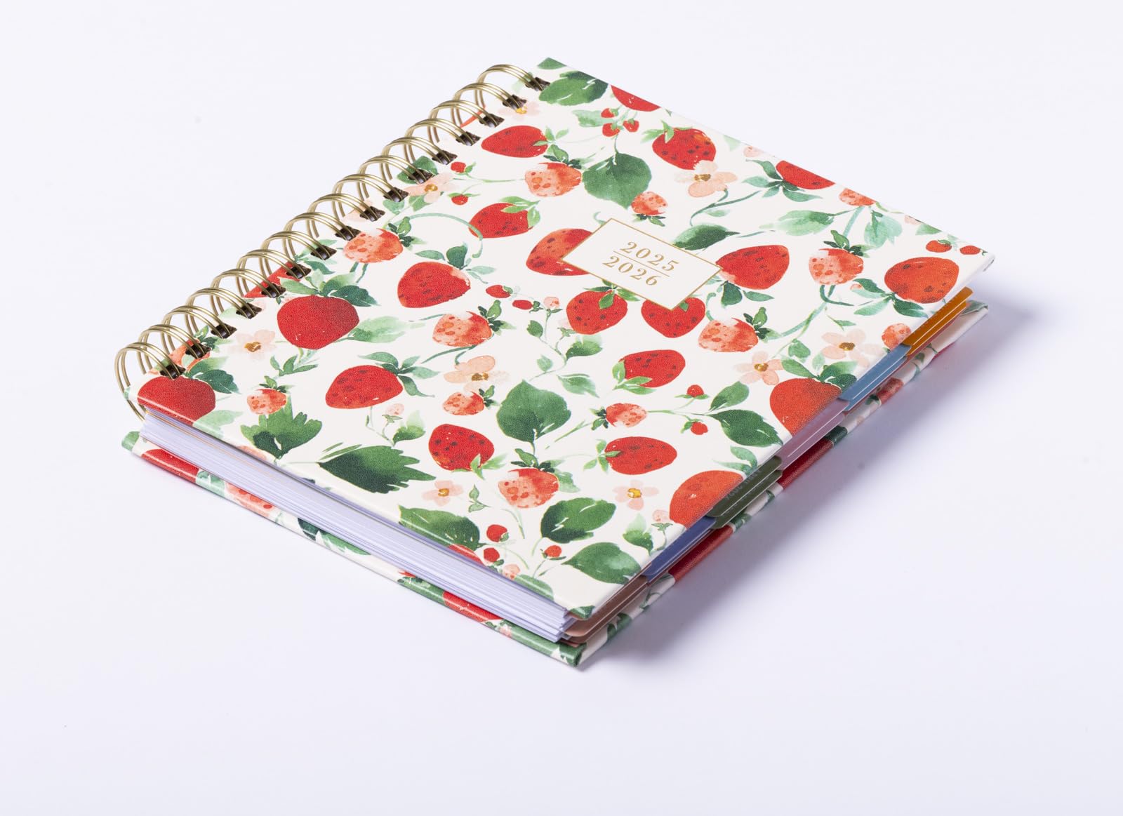 2026 eccolo 2025 planner