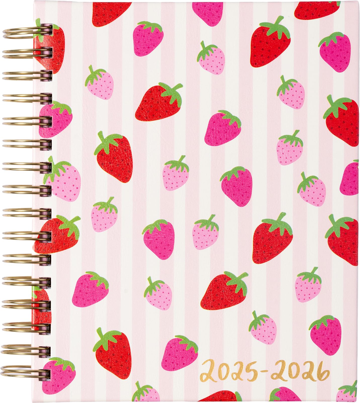 2026 eccolo 2025 planner