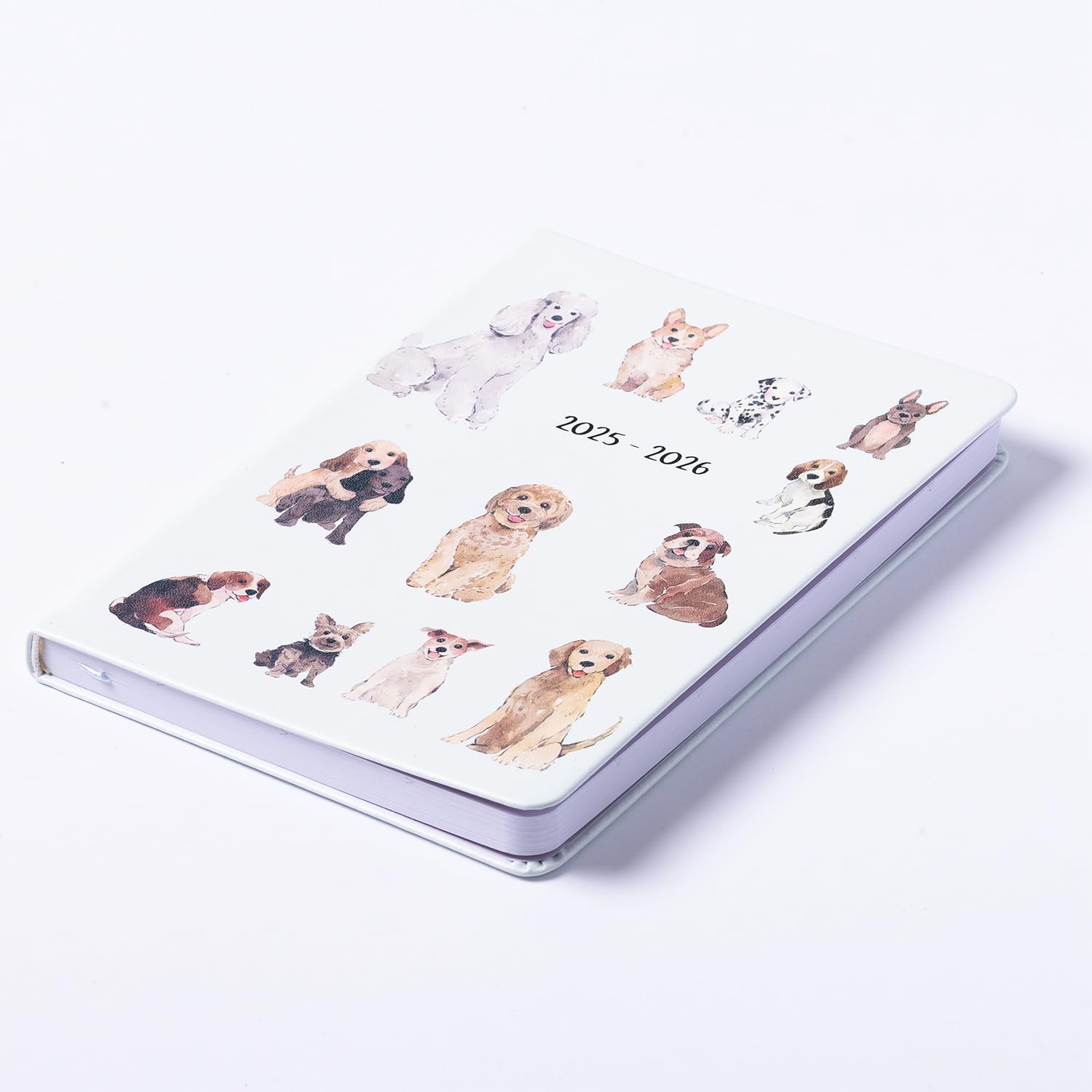 2026 eccolo 2025 planner