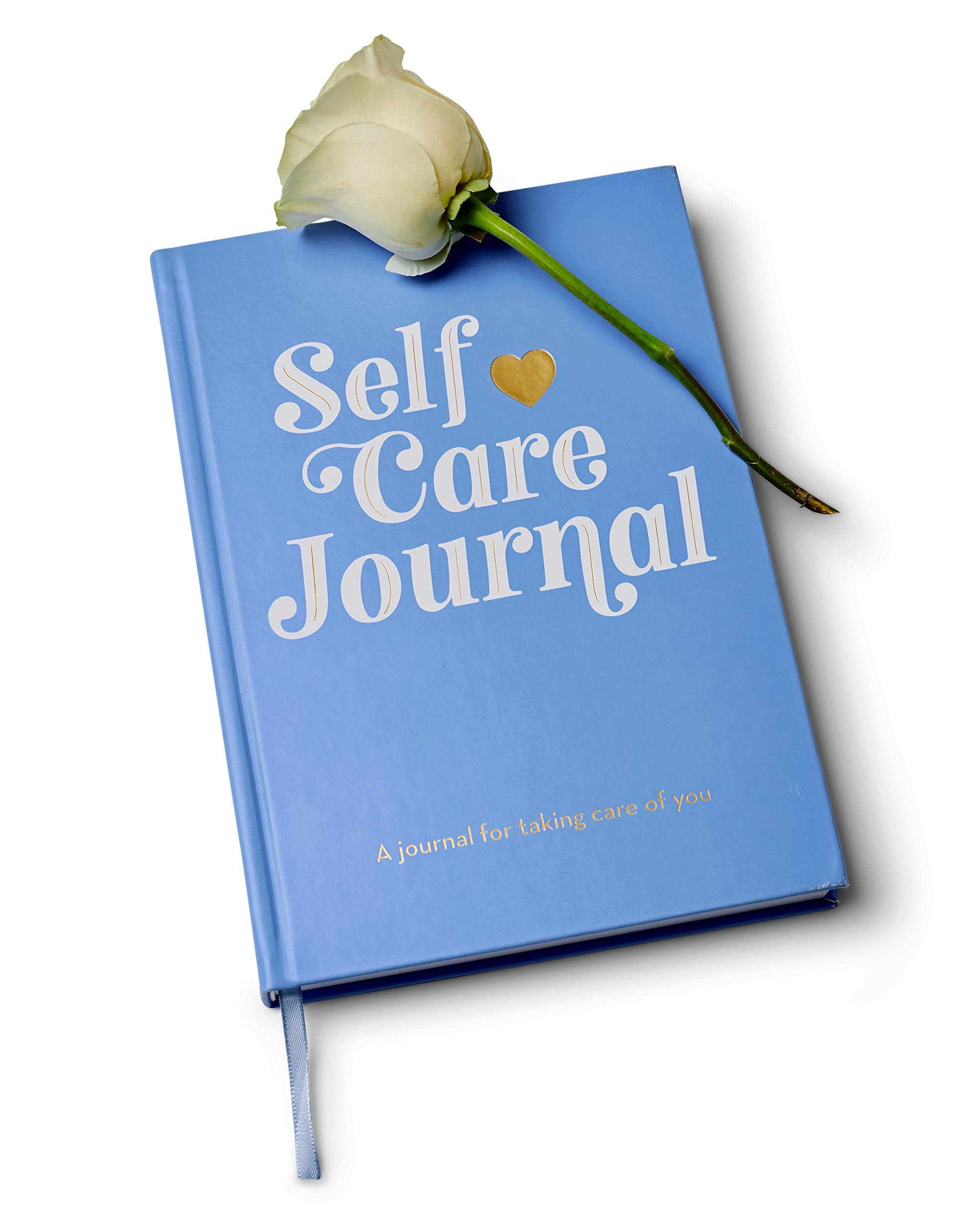 Detailed View of Free Period Press Self Care Journal