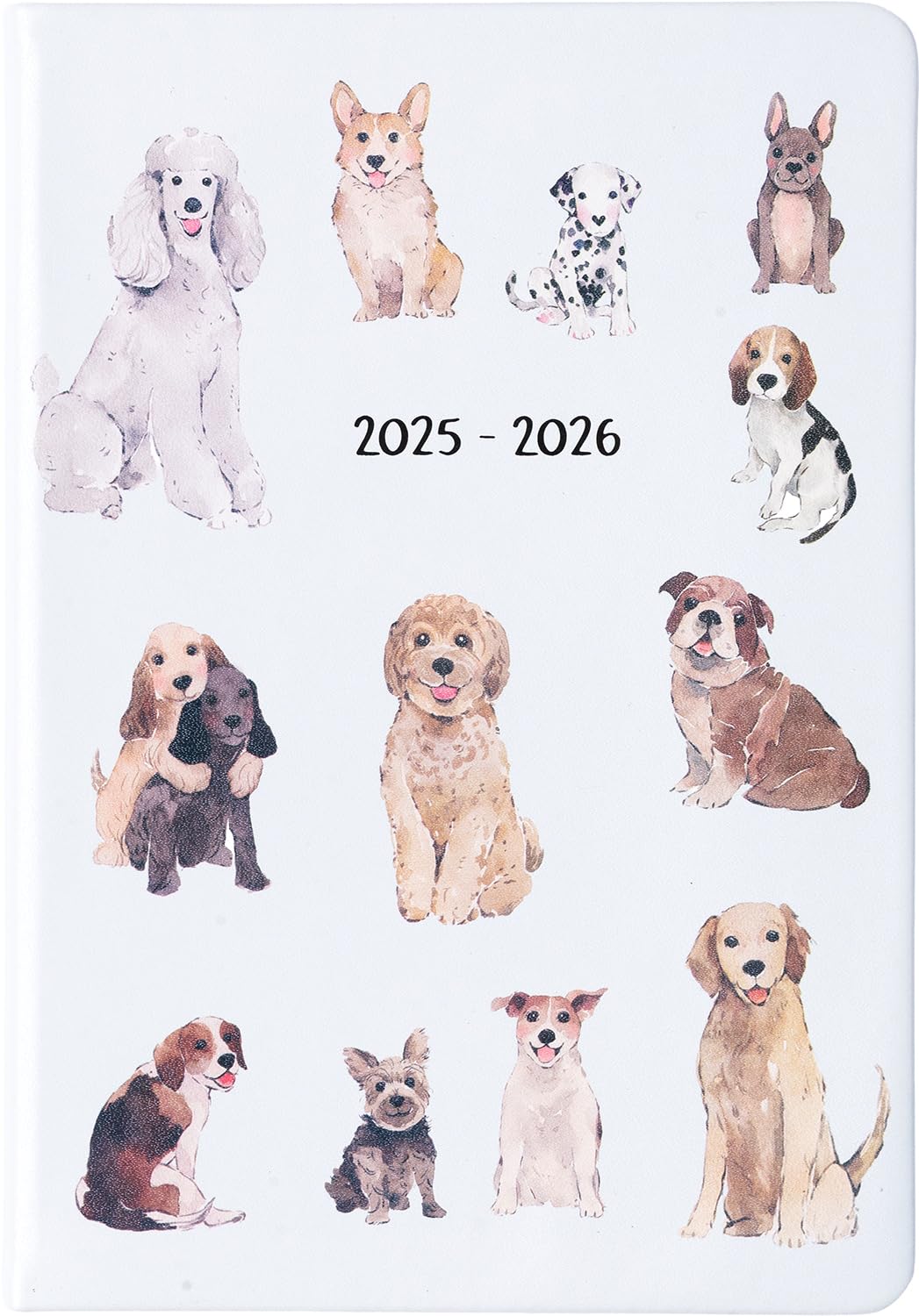 2026 eccolo 2025 planner