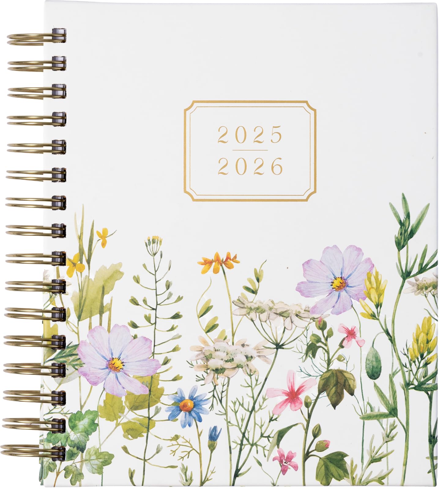 2026 eccolo 2025 planner