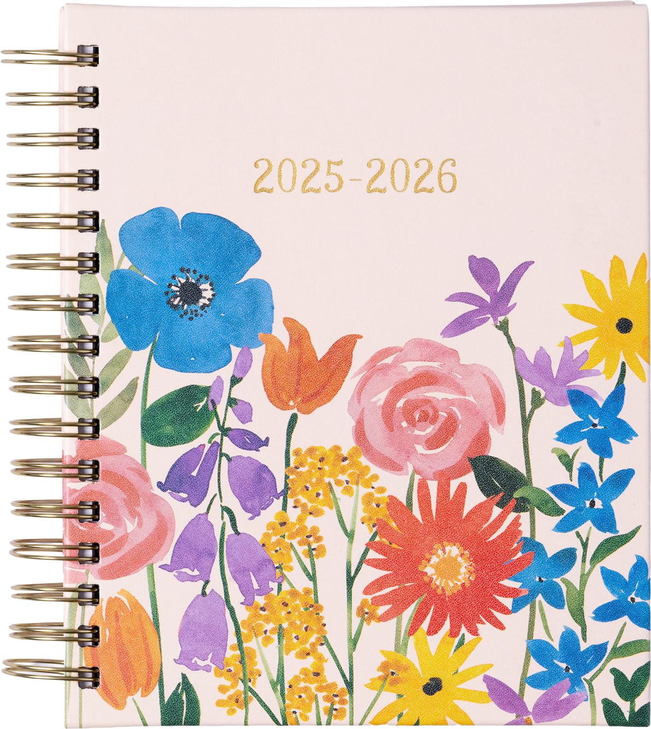 2026 eccolo 2025 planner