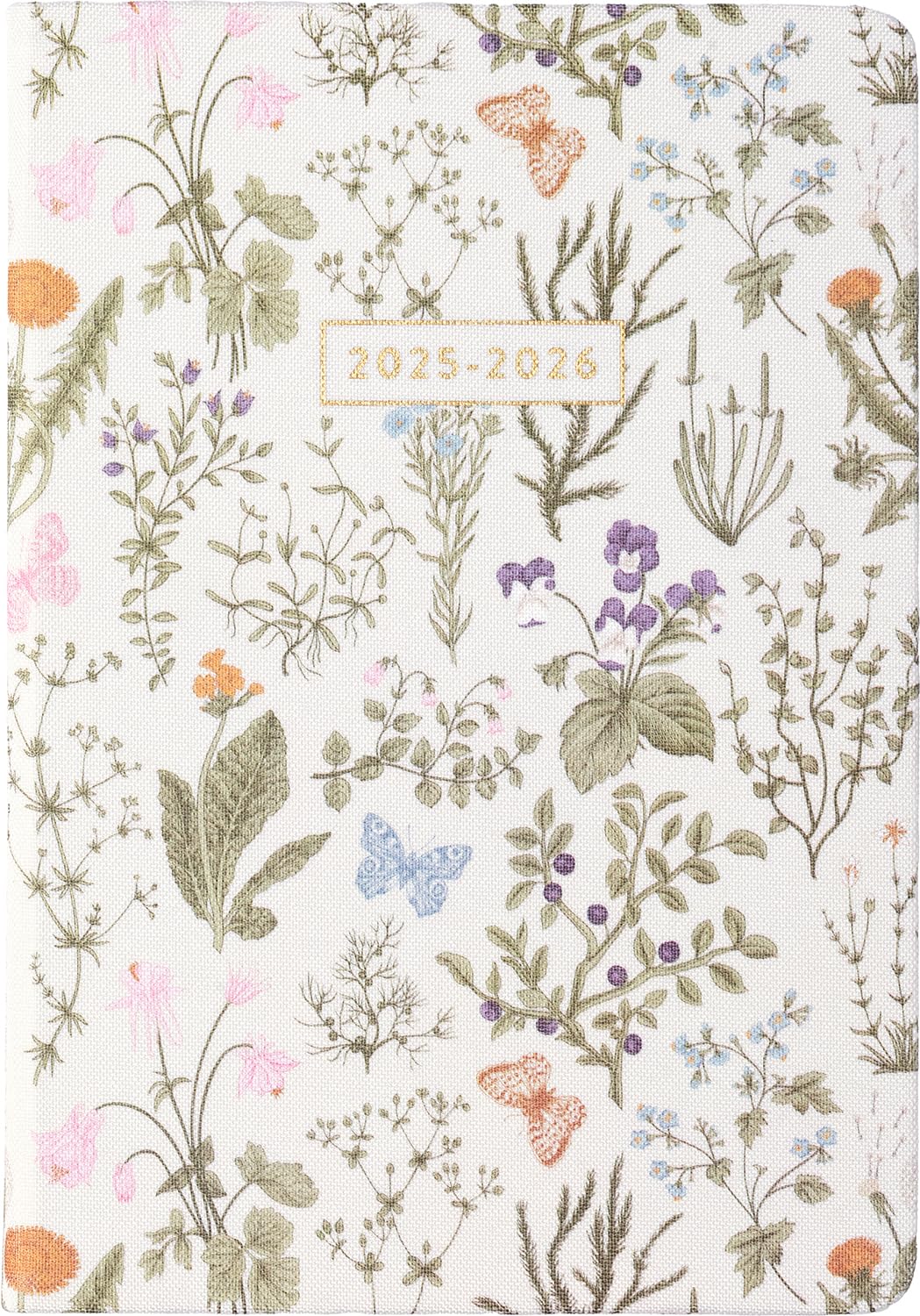 2026 eccolo 2025 planner