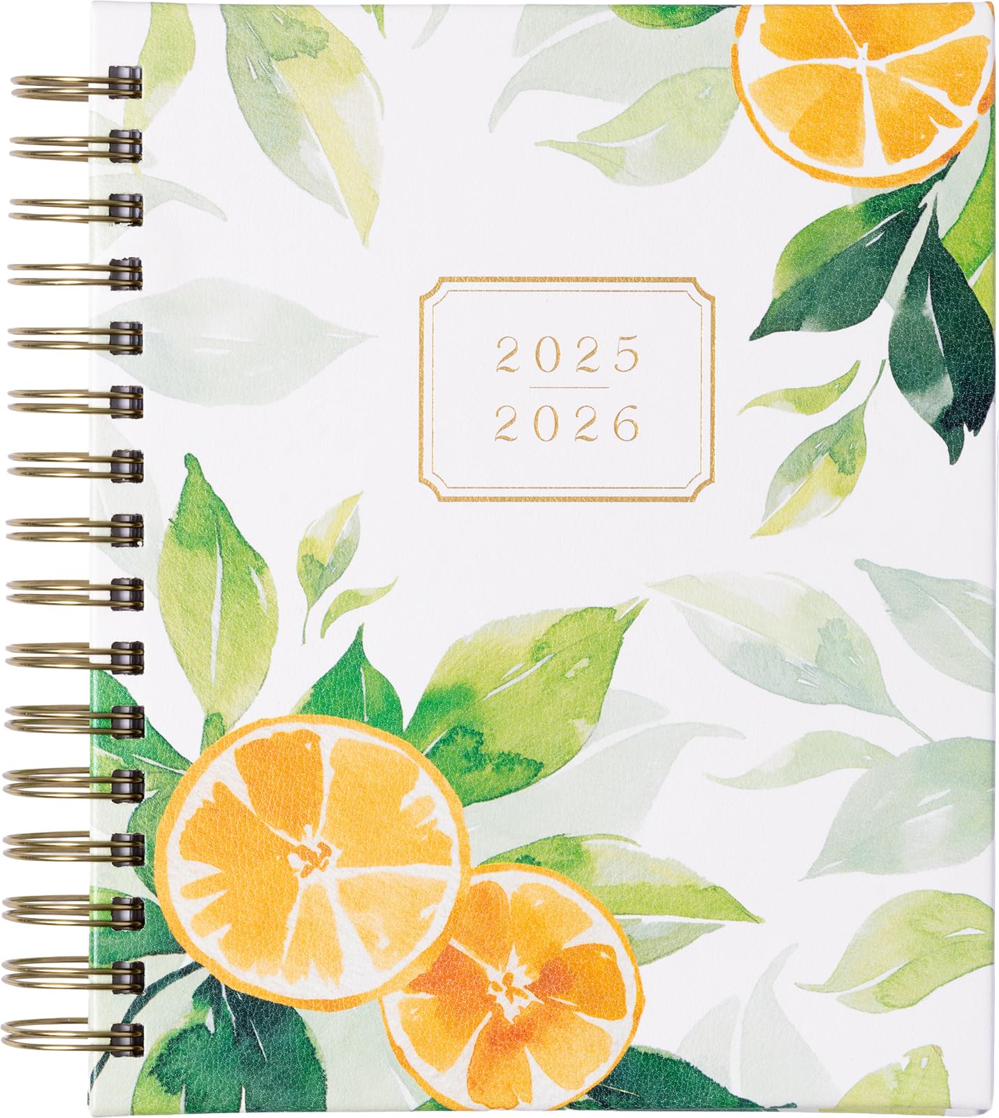 2026 eccolo 2025 planner