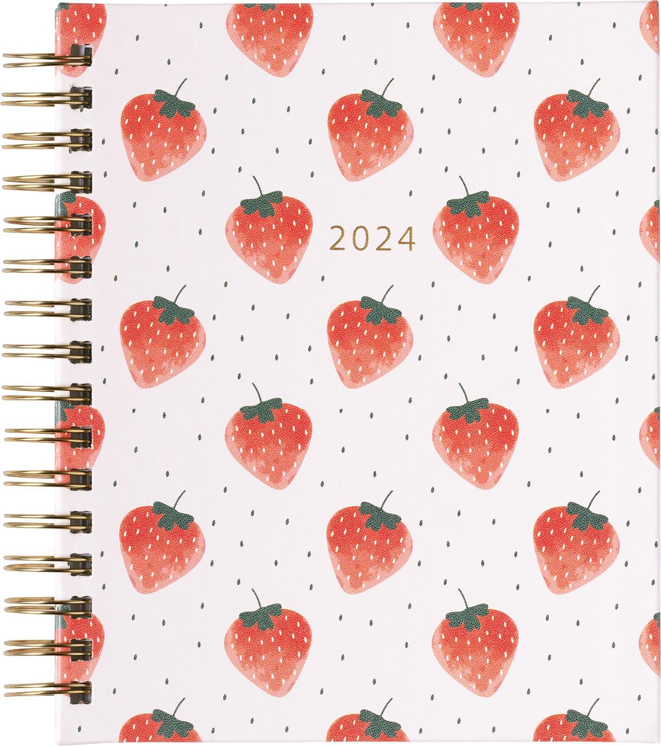 2024 Watercolor Spiral Fun Planner