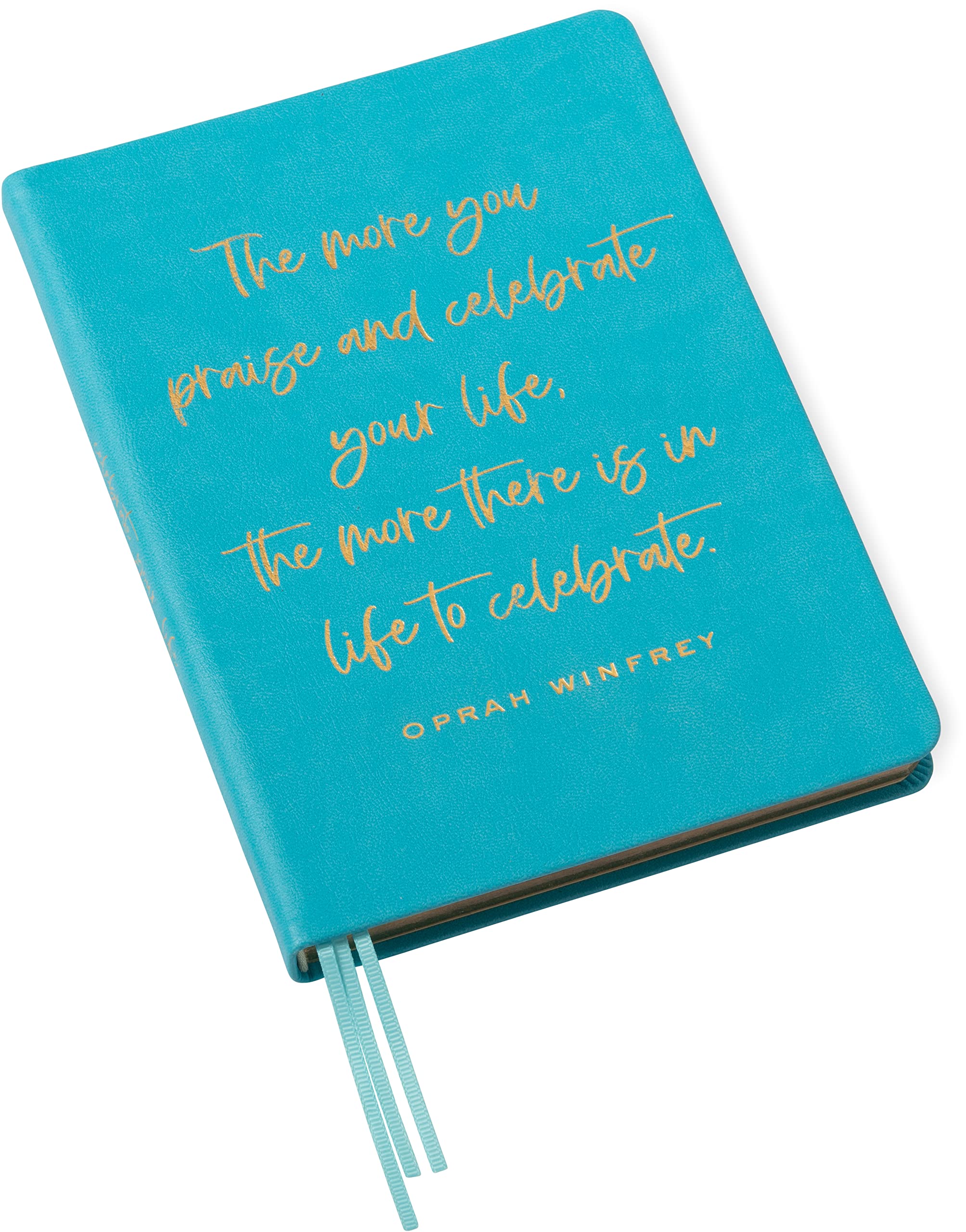 teal notebook for work or school