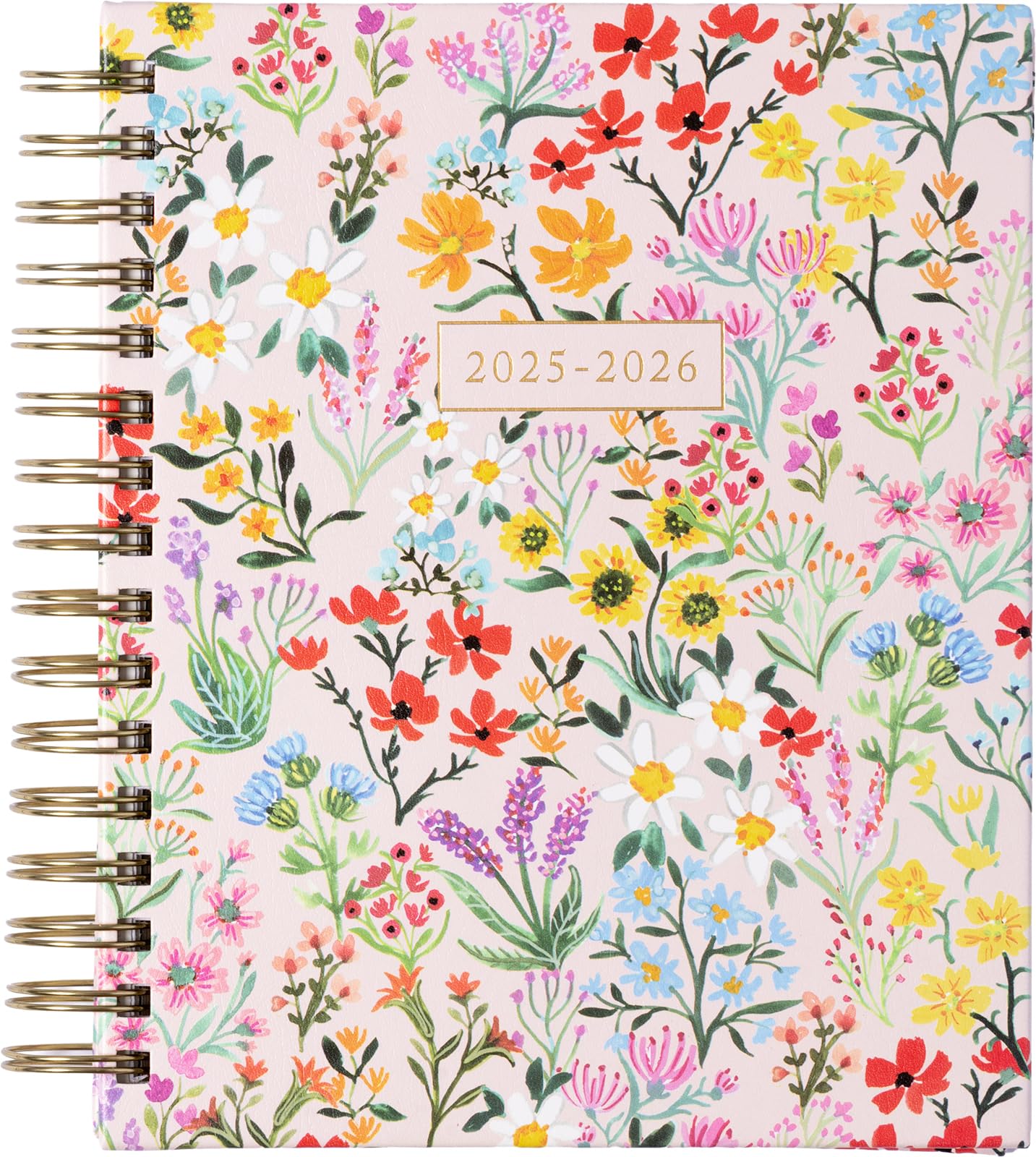 2026 eccolo 2025 planner