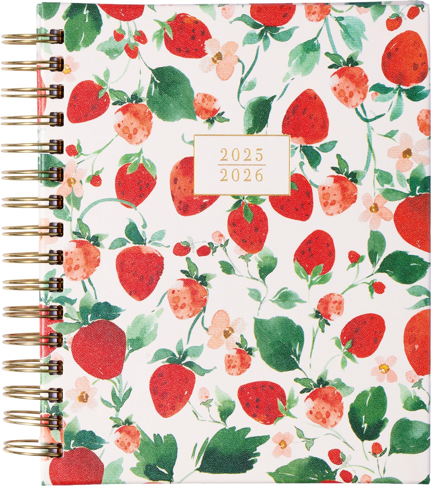 2026 eccolo 2025 planner