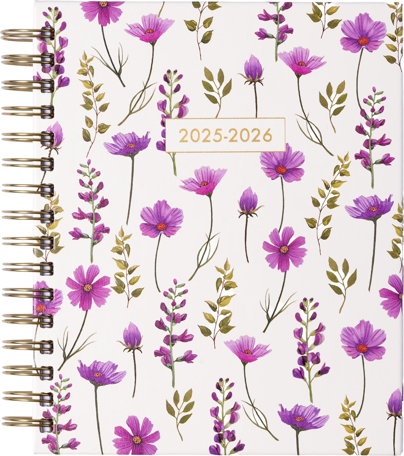 2026 eccolo 2025 planner