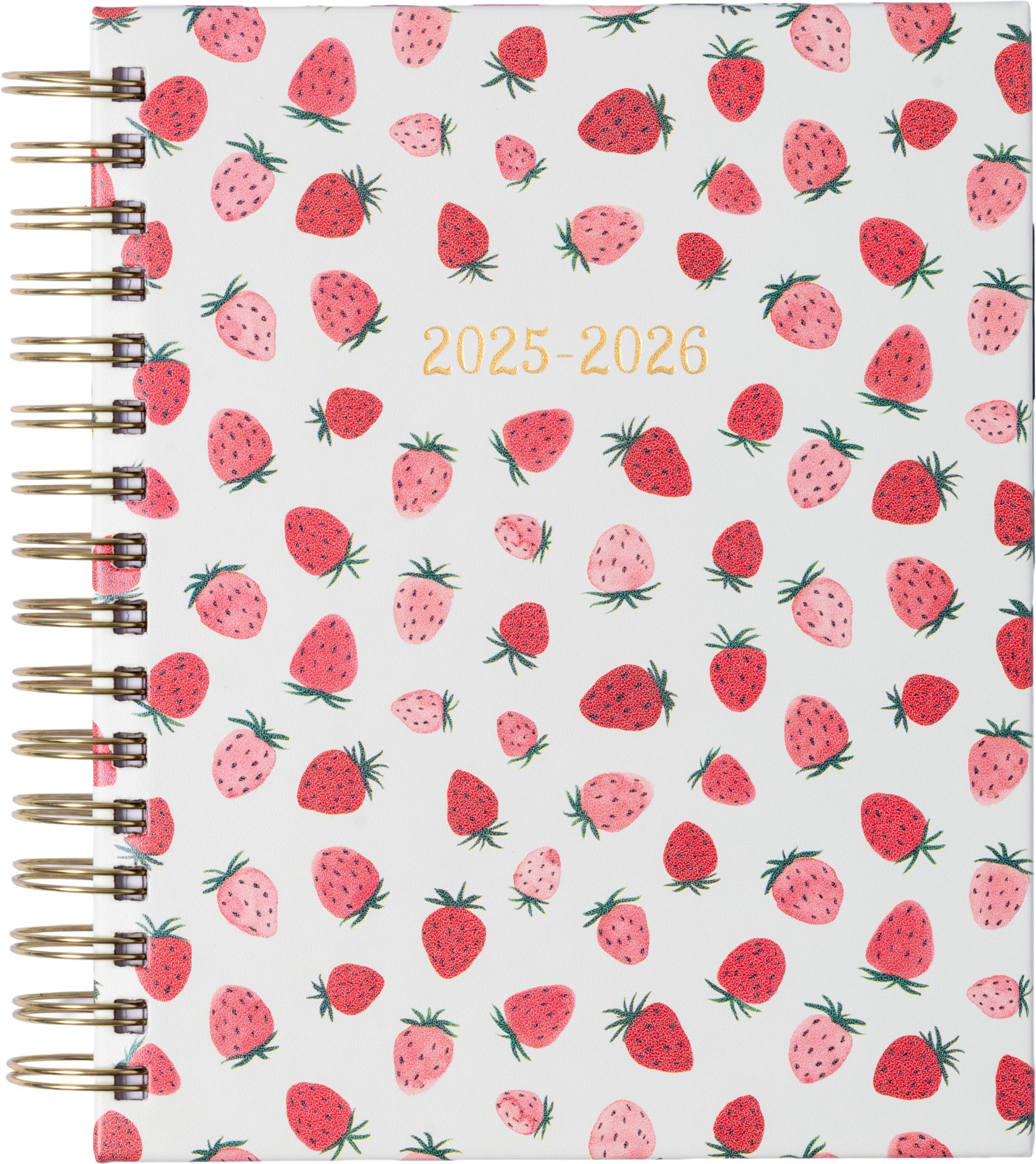 2026 eccolo 2025 planner